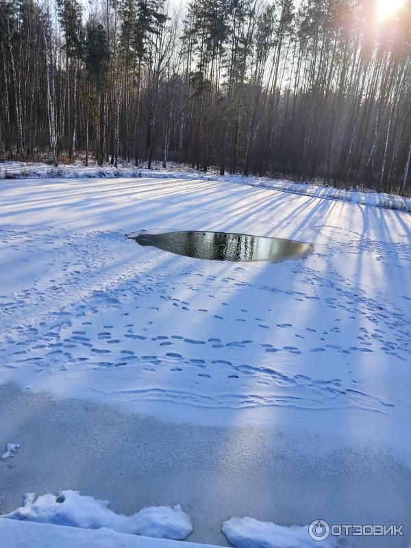 База отдыха Бригантина (Россия, Липецкая область) фото