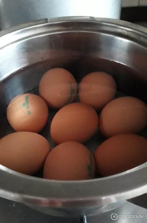 Как получить сильнейшее яйцо. Яйца Чебаркульская птица. Куриные яйца дуэт. Знаменитую фотографию куриного яйца.