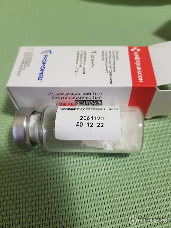 Внутримышечные антибиотики от цистита. Уколы антибиотики цистит. Уколы от пневмонии. Антибиотик для собак при цистите. Цефтриаксон.