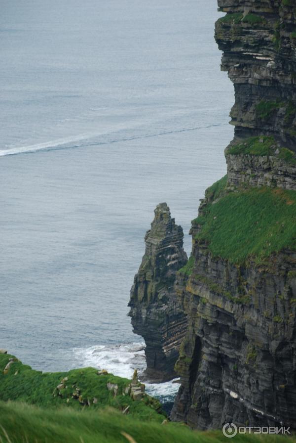 Утесы Мохер Cliffs of Moher (Ирландия, графство Клэр) фото