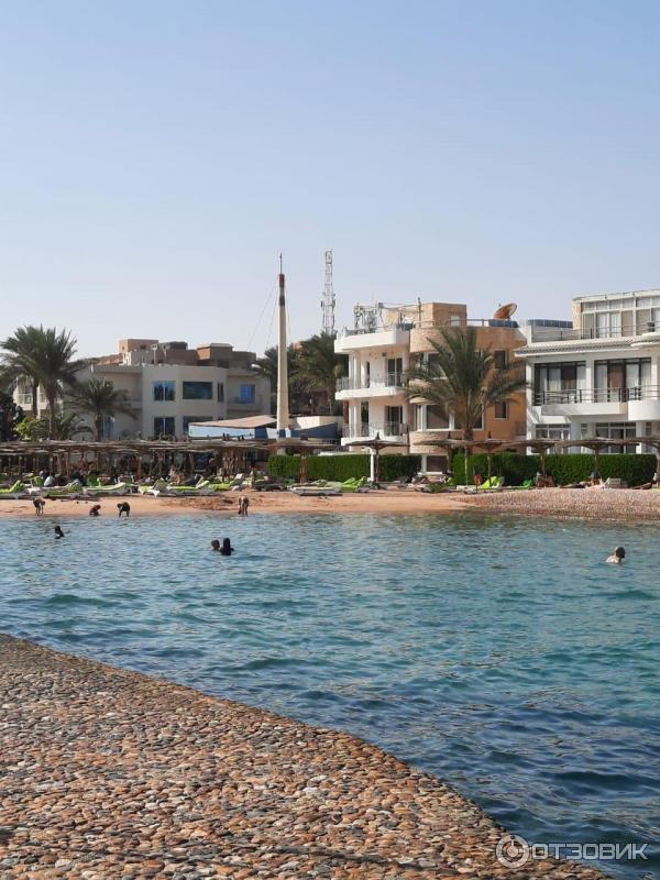 Отель Hurghada SeaGull Beach Resort 4* (Египет, Хургада) фото