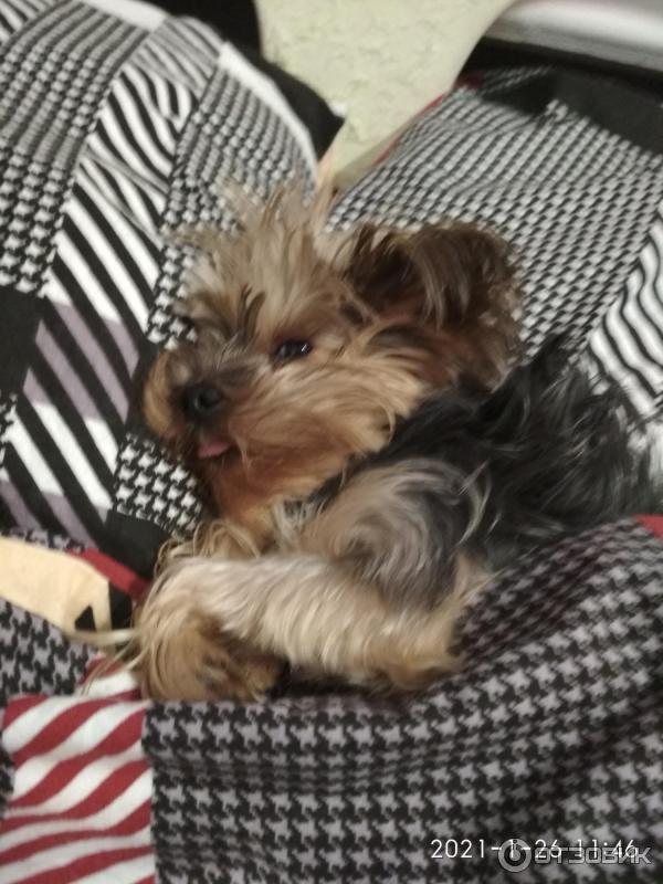 Постельное белье Ашхабадский текстильный комплекс фланель фото