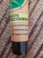 Зубная паста "Лесной бальзам" с органическими маслами Organic oil фото
