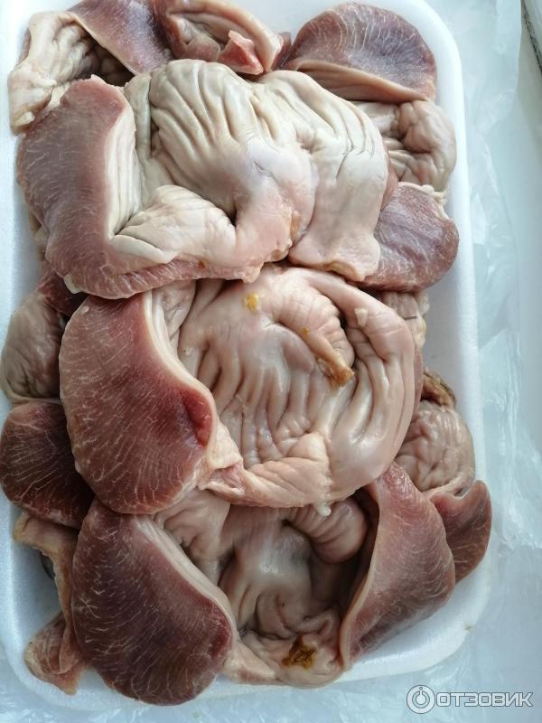 Ұйықтап жатқан қызбен жыныстық қатынас