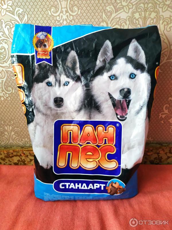 Пан собака. Пан собака