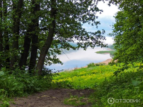 Город Таруса (Россия, Калужская область) фото