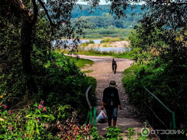 Город Таруса (Россия, Калужская область) фото