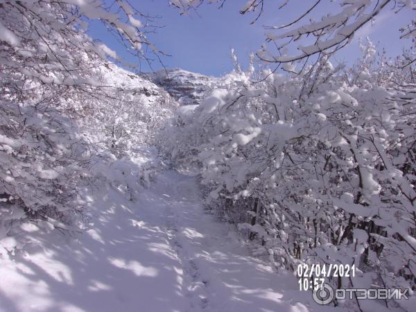 Экскурсия к водопаду Су-Учхан (Крым) фото