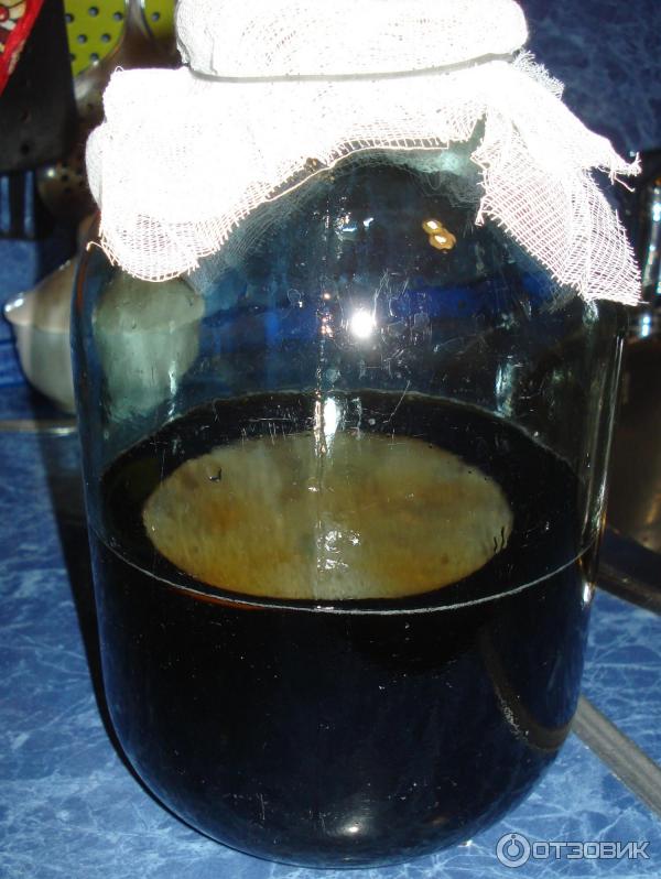 Можно пить чайный гриб при сахарном диабете. ООО талия чайный гриб. Самый большой чайный гриб в мире. Чайный гриб в банке. Чайный гриб эксперимент.