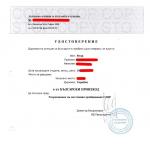 Компания International Business (Черновцы) фото
