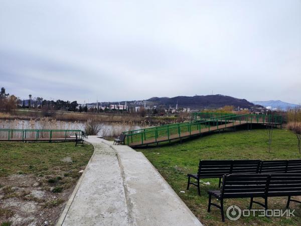 Орнитологический парк в Имеретинской низменности (Россия, Сочи) фото