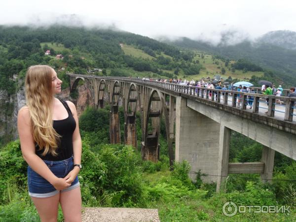 Мост Джурджевича над рекой Тара (Черногория, Плевля) фото