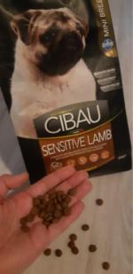 Корм для собак Farmina Cibau Sensitive Lamb Mini фото