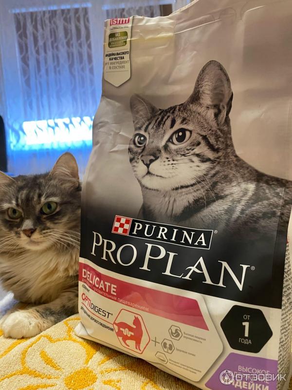 Сухой корм для кошек Purina Pro Plan Delicate фото