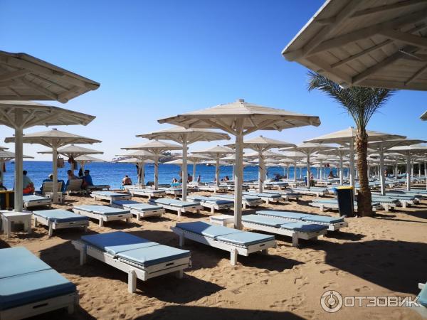 Отель Novotel Palm Sharm El Sheikh 5* (Египет, Шарм-эль-Шейх) фото