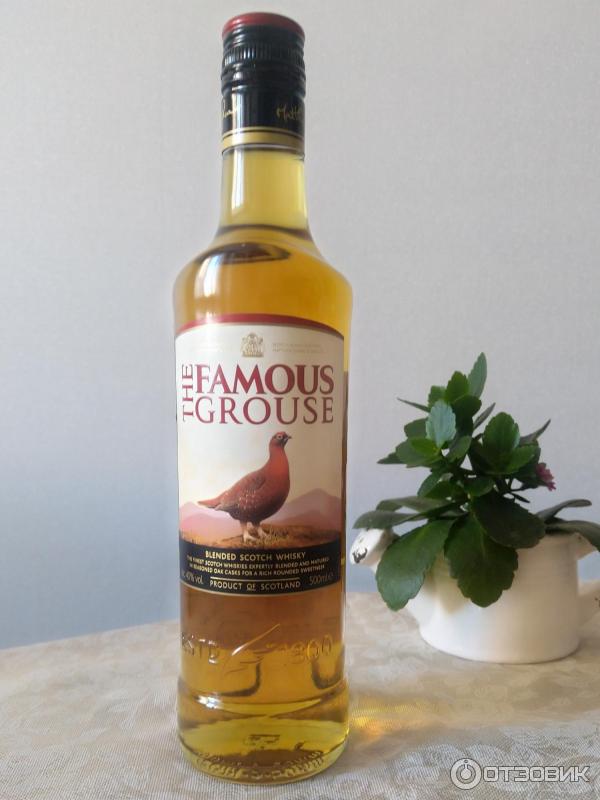 Виски famous отзывы. Виски the famous Grouse 1 л, 3 года, 40%, Шотландия.