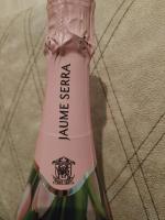 Вино игристое белое брют Cava Jaume Serra фото