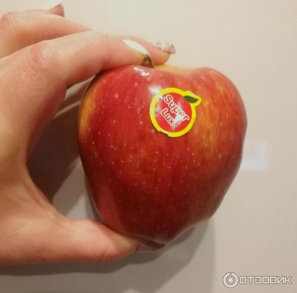 Яблоня Супер Чиф Описание Сорта Фото Отзывы