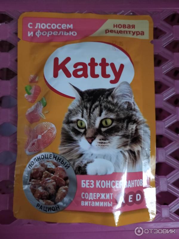 Влажный Корм Для Кошек Katty Купить