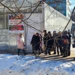 Выставка "Репетиция весны" в Ботаническом саду МГУ "Аптекарский огород" (Россия, Москва) фото