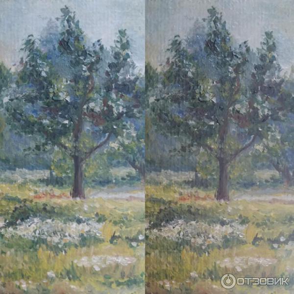 Отзыв о Лак даммарный Гамма | Плюсы и минусы даммарного лака на примере ...