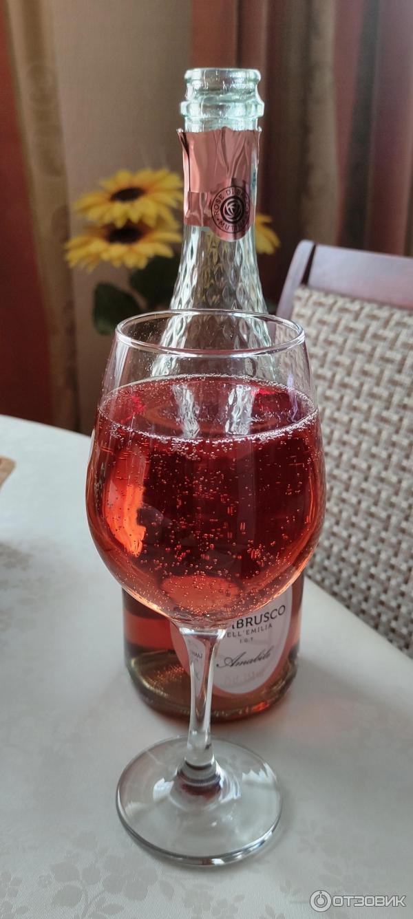 Вино Lambrusco Dell'Emilia Rialto Rosso Amabile фото