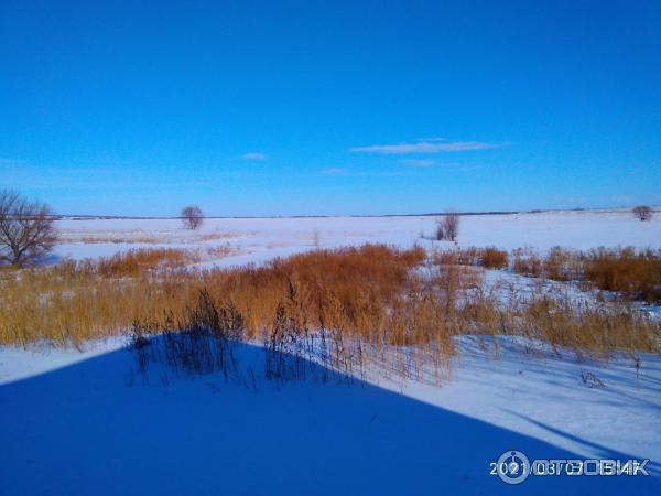 Музей Дом со львом в с. Поповка (Россия, Саратовская область) фото