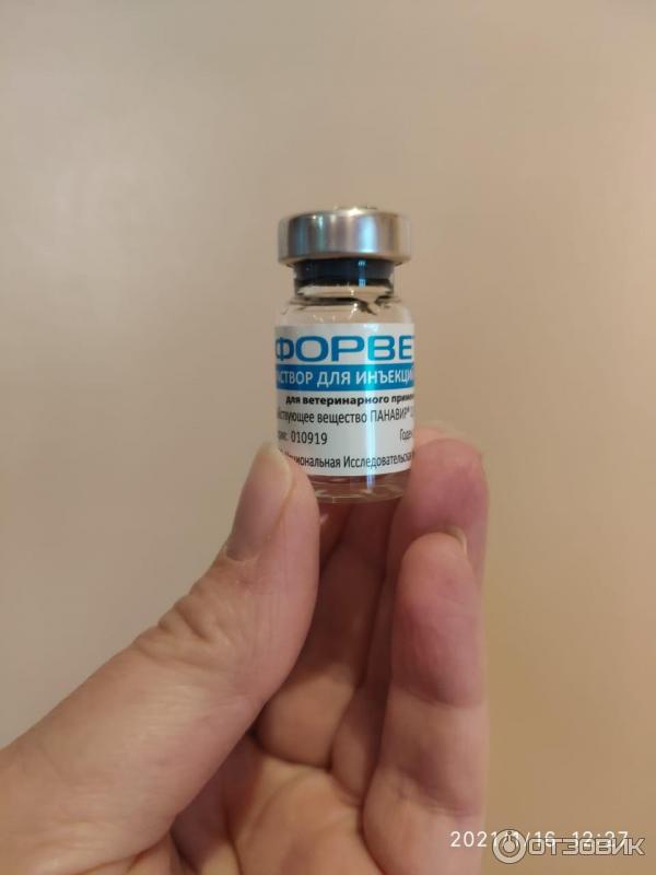 Форвет для кошек