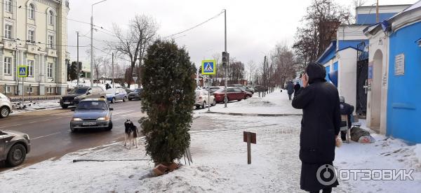 Рождество-Богородицкий мужской монастырь (Россия, Задонск) фото