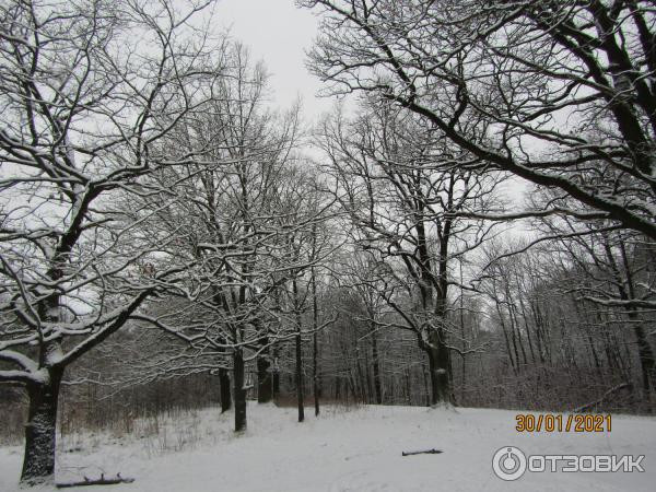 Русский этнографический парк Богословка (Россия, Санкт-Петербург) фото