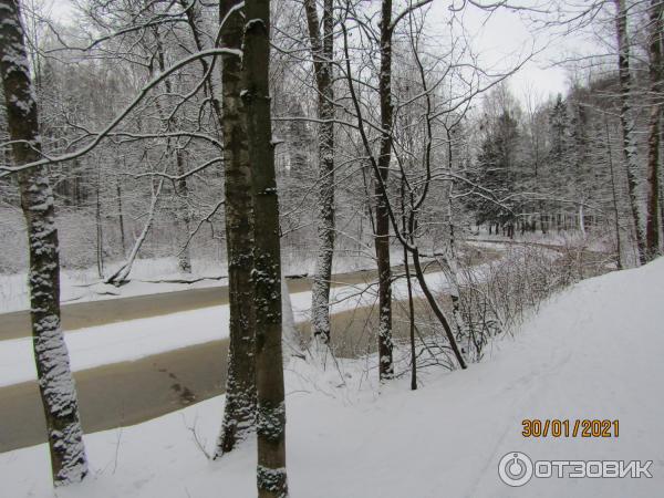 Русский этнографический парк Богословка (Россия, Санкт-Петербург) фото