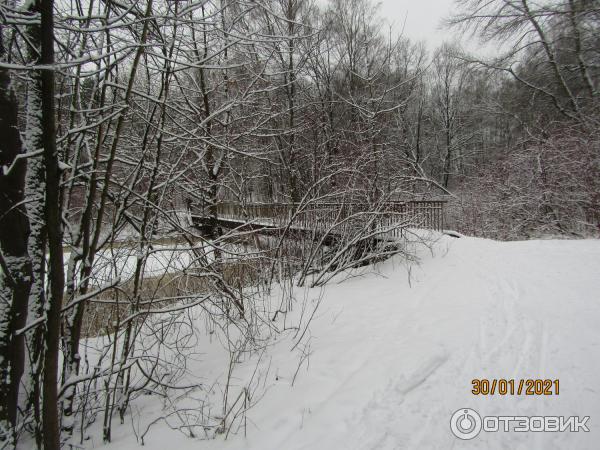 Русский этнографический парк Богословка (Россия, Санкт-Петербург) фото