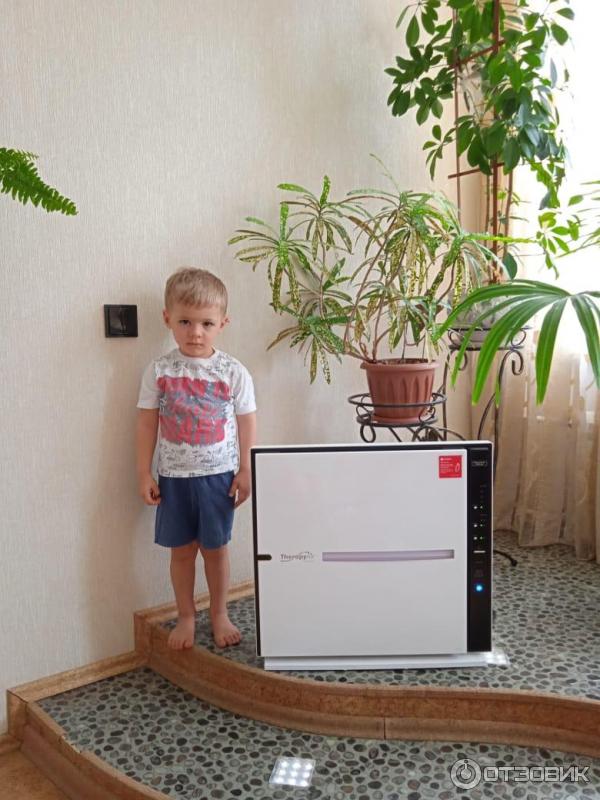 Очиститель воздуха Zepter Therapy Air iOn PWC-570 фото