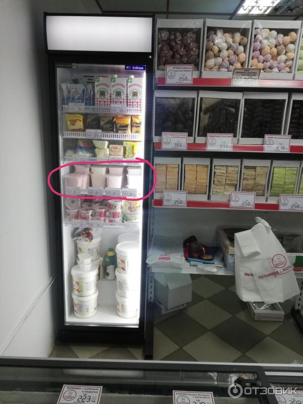 Текста бегемот
