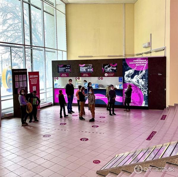 BODY WORLDS (Россия, Москва) фото