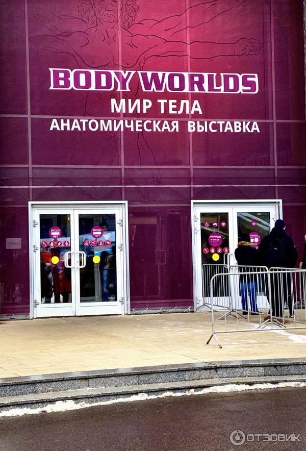 BODY WORLDS (Россия, Москва) фото