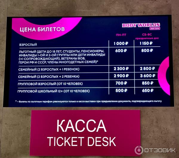 BODY WORLDS (Россия, Москва) фото