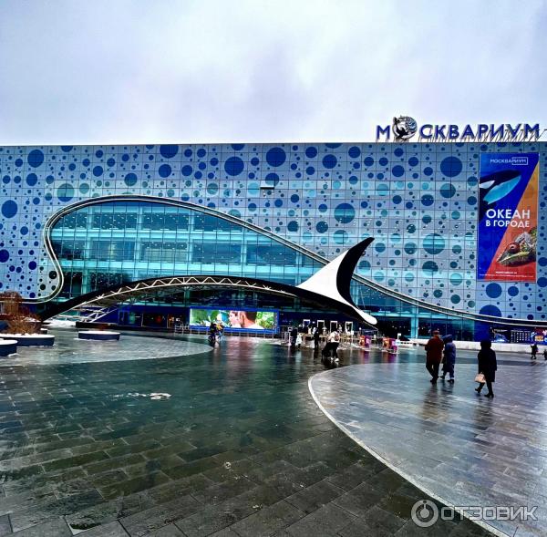 BODY WORLDS (Россия, Москва) фото