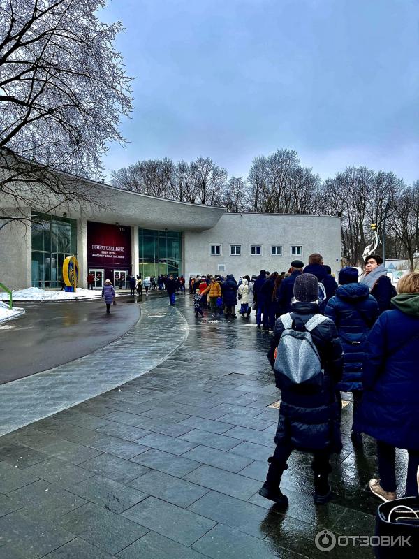 BODY WORLDS (Россия, Москва) фото