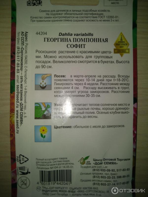 Отзыв о Семена Дом семян "Георгина помпонная Софит" | Очень хорошая ...