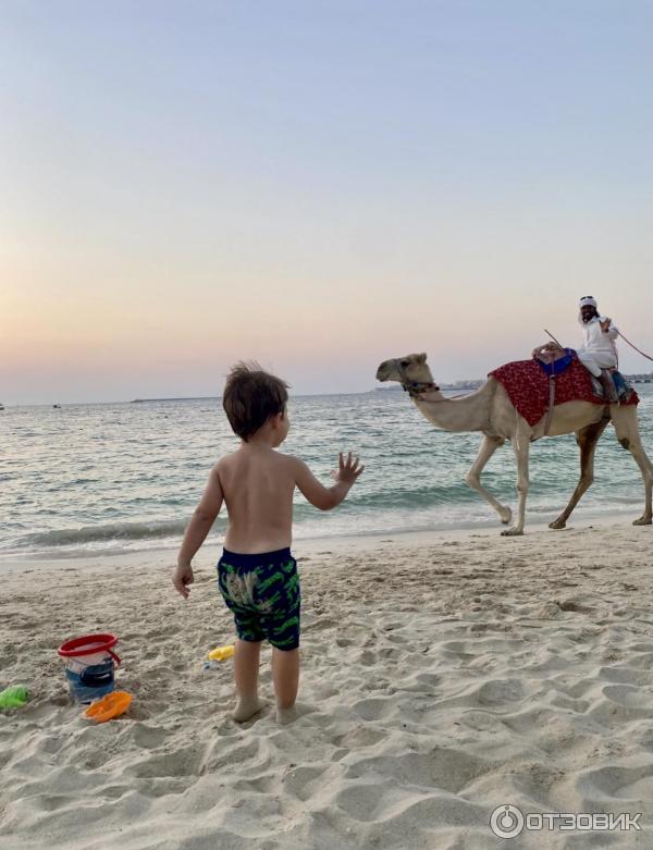 Пляж Dubai Marina beach (ОАЭ, Дубай) фото