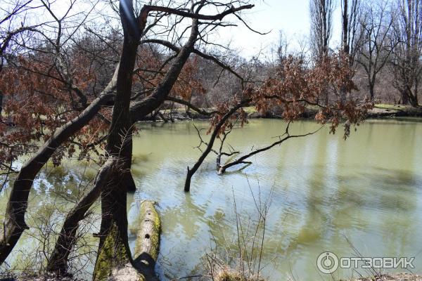 Парк Солнечный остров (Россия, Краснодар) фото