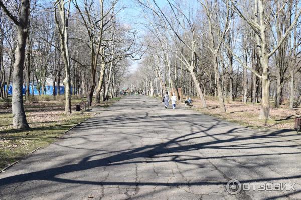 Парк Солнечный остров (Россия, Краснодар) фото