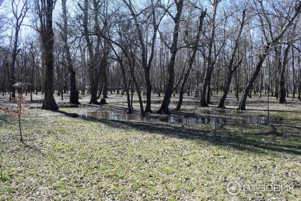 Парк Солнечный остров (Россия, Краснодар) фото