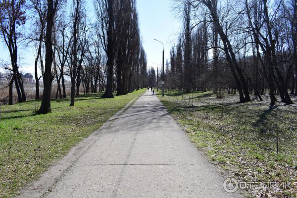 Парк Солнечный остров (Россия, Краснодар) фото