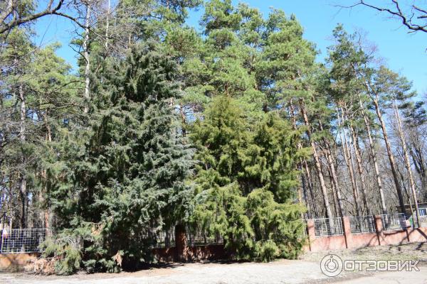 Парк Солнечный остров (Россия, Краснодар) фото