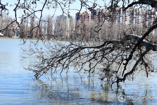 Парк Солнечный остров (Россия, Краснодар) фото