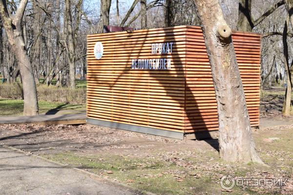 Парк Солнечный остров (Россия, Краснодар) фото
