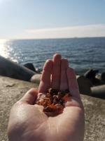 Отдых в Балтийске (Россия) фото