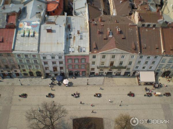 Архитектурный ансамбль Площадь Рынок (Украина, Львов) фото